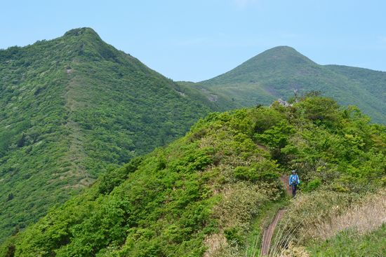 花々を愛でながら・・・神室岳