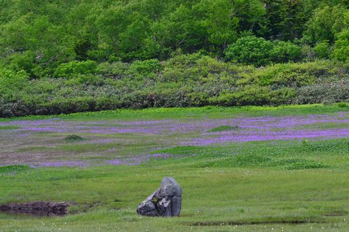 新潟県の最高峰in火打山
