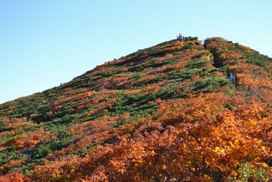 山燃ゆる秋ｉｎ栗駒山