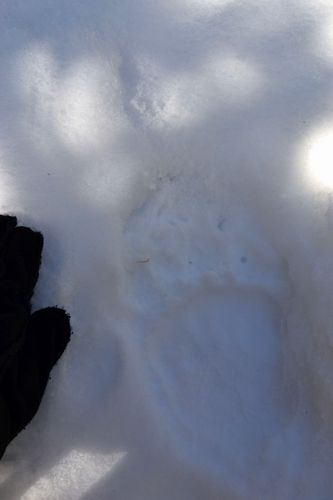 安達太良ほんとの空