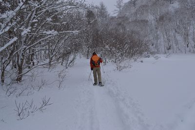 今年も姿を見せてくれたイエローフォール