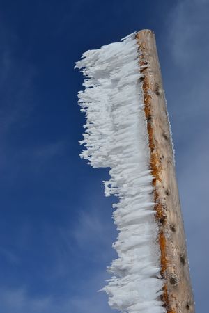 ＺＡＯの樹氷は？