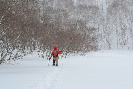 2013年のイエローフォールは？