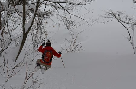 2013年のイエローフォールは？