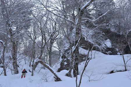 氷筍に魅せられて