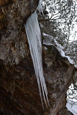 氷筍に魅せられて