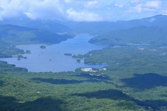 磐梯山のブナが危機