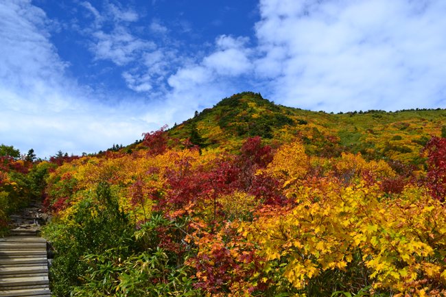 秋色の吾妻山(一切経山)