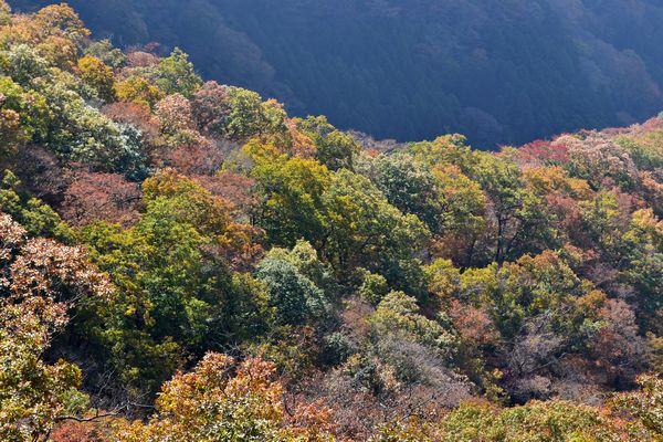 秋の奥久慈男体山