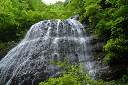 氷の世界