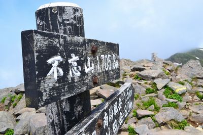 南蔵王の花・花・花　1