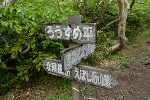 南蔵王の花・花・花　2