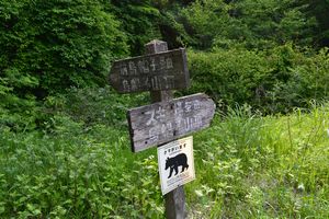 南蔵王の花・花・花　2