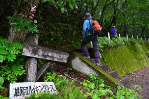 夏の湿原　鮮やかにin雄国沼