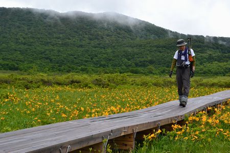 夏の湿原　鮮やかにin雄国沼