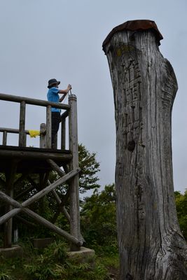 夏の湿原　鮮やかにin雄国沼