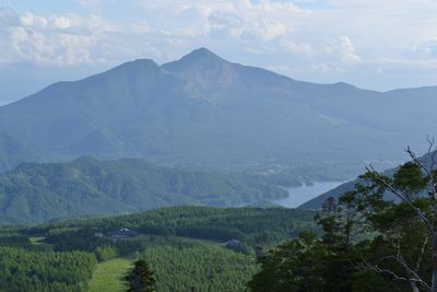 吾妻連峰の花の楽園