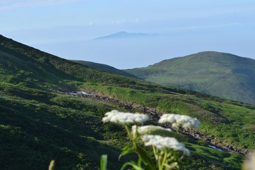 花踊る夏～鳥海山