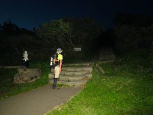 花踊る夏～鳥海山