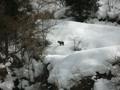 氷筍に魅せられて