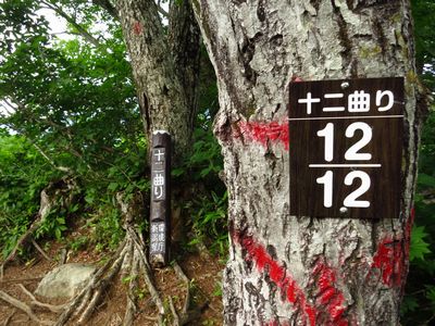 新潟県の最高峰in火打山