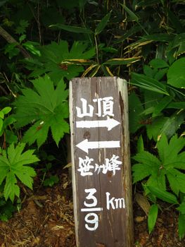 新潟県の最高峰in火打山