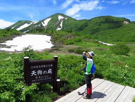 新潟県の最高峰in火打山
