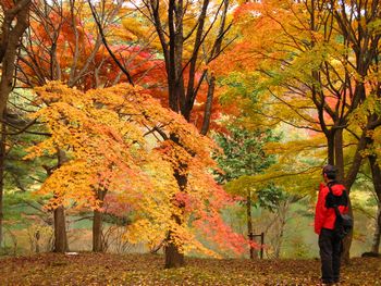 秋の半田山自然公園散歩