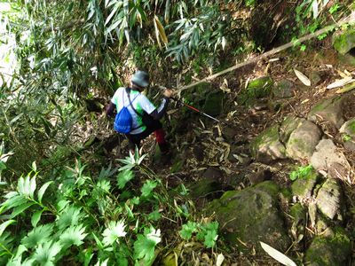 越後冨士の妙高山