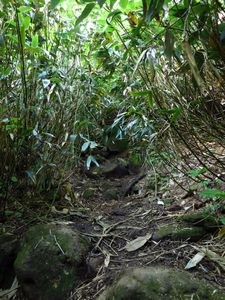 越後冨士の妙高山