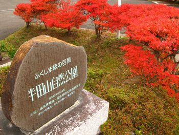 秋の半田山自然公園散歩