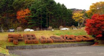 秋の半田山自然公園散歩