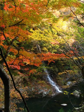 秋をさがしてinいわき