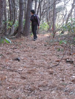 『元気がもらえる山』