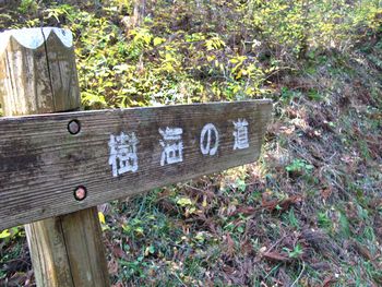 手長足長の大男が住んでいた山？