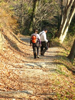 手長足長の大男が住んでいた山？