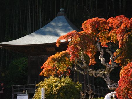 秋をさがしてinいわき