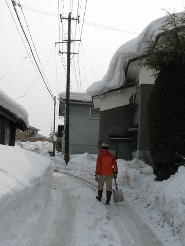 豪雪