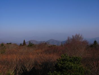 『元気がもらえる山』