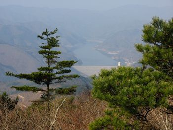 『元気がもらえる山』