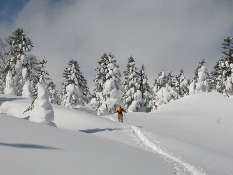 宮城蔵王の樹氷（刈田岳)