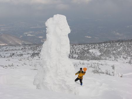 宮城蔵王の樹氷