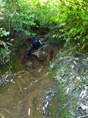 山燃ゆる秋ｉｎ栗駒山