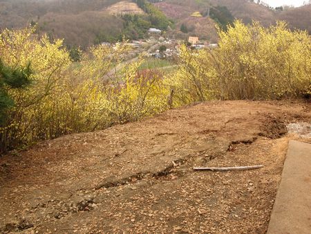 地震の影響　花見山にて