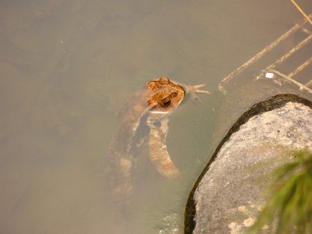 地震の影響　花見山にて