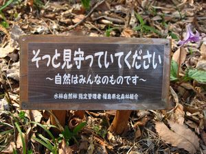 さくらぶ～第２章～