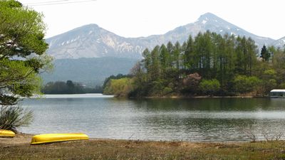 ブナの元気印