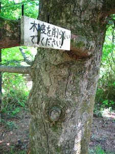 元気がもらえる萬歳楽山