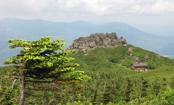 コマクサ群生地　岩手山