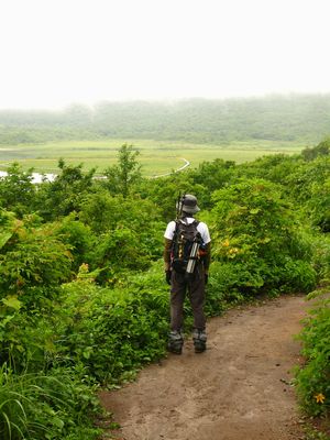夏の湿原　鮮やかにin雄国沼